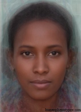 Female representative of Ethiopid
