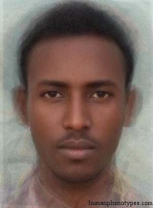 Ethiopid male phenotype example