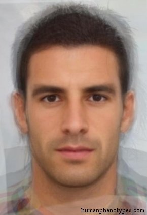 Male representative of Eurafricanid