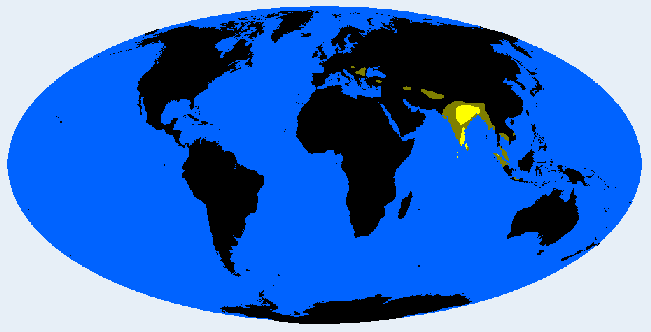 Distribution map showing areas where Indo Melanid is found